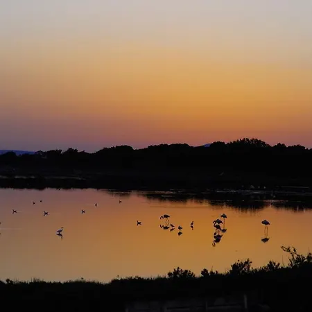 Casavale 칼로포테