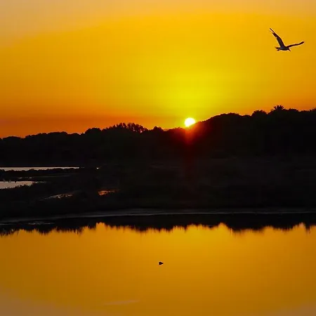 게스트하우스 Casavale 3*